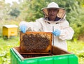 Elderly hiver standing beside hive with hive frame in hands