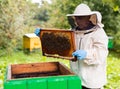 Elderly hiver standing beside hive with hive frame in hands