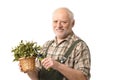 Elderly hobby gardener with clippers
