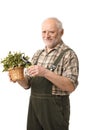 Elderly hobby gardener with clippers