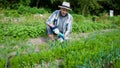 Elderly hobby gardener