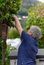 Elderly lady Cutting tree doing home garden work with tree cutters. Royalty Free Stock Photo