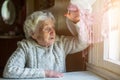 Elderly lady looks out of the window.