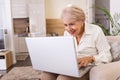 Elderly lady working with laptop. Portrait of beautiful older woman working laptop computer indoors. Senior woman using laptop at Royalty Free Stock Photo