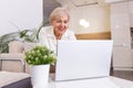 Elderly lady working with laptop. Portrait of beautiful older woman working laptop computer indoors. Senior woman using laptop at Royalty Free Stock Photo