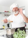 Elderly male chef in kithen Royalty Free Stock Photo