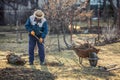 An elderly male farmer cleans the garden after digging up an old fruit tree Royalty Free Stock Photo