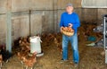 Elderly male farmer at a poultry farm holds basket of chicken eggs Royalty Free Stock Photo