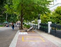 Elderly male street artist selling his art on the pathway of Cape Town Gardens.