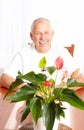 Elderly man Royalty Free Stock Photo