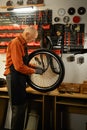 An elderly man in apron works in a bicycle workshop, repairing the spokes and wheel of a bike. Royalty Free Stock Photo