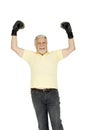 Elderly man with boxing gloves Royalty Free Stock Photo