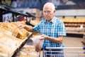 Mature senor choosing bread and baking in grocery section of supermarket Royalty Free Stock Photo