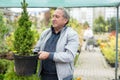 Elderly man buys plants at an open-air market