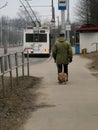 Rules for the transport of pets in public transport in the city Royalty Free Stock Photo