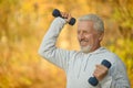 Elderly man exercising with dumbbells Royalty Free Stock Photo