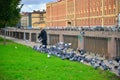 An elderly man feeds pigeons on the banks of Griboedova canal