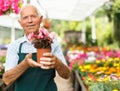 Elderly man in greenhouse Royalty Free Stock Photo