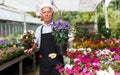 Elderly man in greenhouse Royalty Free Stock Photo