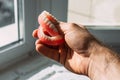 An elderly man holds a denture. A man is holding dentures in his hands. Removable dentures flexible. False teeth. Implant.