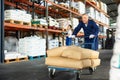 Elderly man loader with cargo cart loaded with bags