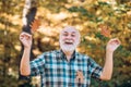 Elderly man smiling outdoors in nature. Grandfather relaxing in autumn park. Freedom retirement concept. Senior man Royalty Free Stock Photo