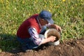 Elderly man takes potatoes from a bucket for planting in a garden