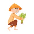 Elderly man is planting rice sprouts. Vector illustration.