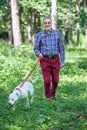 Elderly Man is Walking a White Pitbull Terrier Dog in the Park