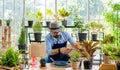 An elderly man wearing glasses is happy to take care of trees, pruning trees with scissors as a hobby of home gardening, happily Royalty Free Stock Photo