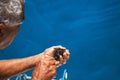 Elderly man on a yacht holding a sea urchin. Royalty Free Stock Photo