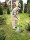 an elderly man of 80 years works in the garden. The gardener rakes the mown grass with a rake. Active old age. Work in Royalty Free Stock Photo