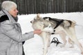 Senior woman cuddling up with two Siberian Husky