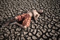 Elderly men lay flat, hands placed on the belly on dry and cracked soil, global warming