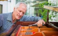 Elderly music instrument technician tuning a piano keyboard.