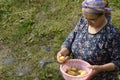 Elderly Muslim woman holding a small pink wash tub of fresh potatos by hand after spring rain