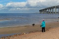 An elderly old woman playing with a dog on the seashore on the coast, rounded motorway Controlled-access highway bridge