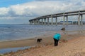 An elderly old woman playing with a dog on the seashore on the coast of which there is the rounded motorway highway bridge
