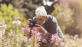 Elderly pensioner photographing pink flowers in the park, outdoor hobby. Active longevity. A keen and cheerful senior man