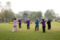 Elderly people doing tai chi exercises Royalty Free Stock Photo