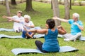 Elderly people exercising in a park