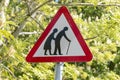 Elderly person crossing Royalty Free Stock Photo