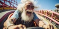 Elderly Person Experiencing Pure Joy on a Roller Coaster Ride AI Generated