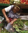 Elderly person at the fruit and vegetable market, illustrative drawing