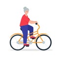 Elderly retired senior woman on bycicle active lifestyle