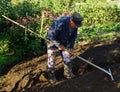 An elderly Russian peasant working in the backyard vegetable garden