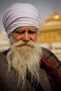An elderly Sikh devotee of The Golden Temple of Amritsar, Punjab, India