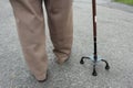 Elderly & Walking stick