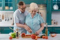 Elderly wife and husband Royalty Free Stock Photo
