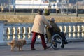 Elderly woman and a disabled man in a wheelchair walk along the street rear view